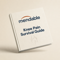 Knee Pain Survival Guide ($39)